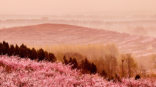 ����ͻ��-������κ�����_MG������Ϸ